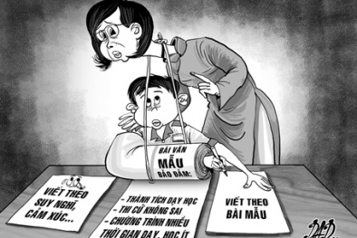 Học sinh ngày càng chán học Văn?